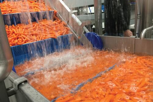 Food and Beverage Industry