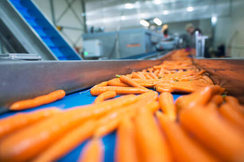 Food and Beverage Industry 2