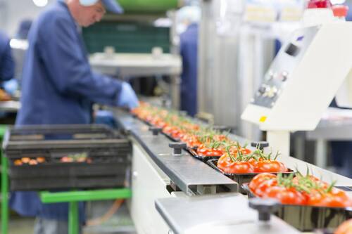 Food and Beverage Industry 2